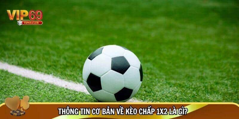 Kèo Chấp 1/2 Là Gì? Cách Hiểu Đơn Giản Nhưng Hiệu Quả Cho Người Mới 2 Thông tin cơ bản về kèo chấp 1/2 là gì?
