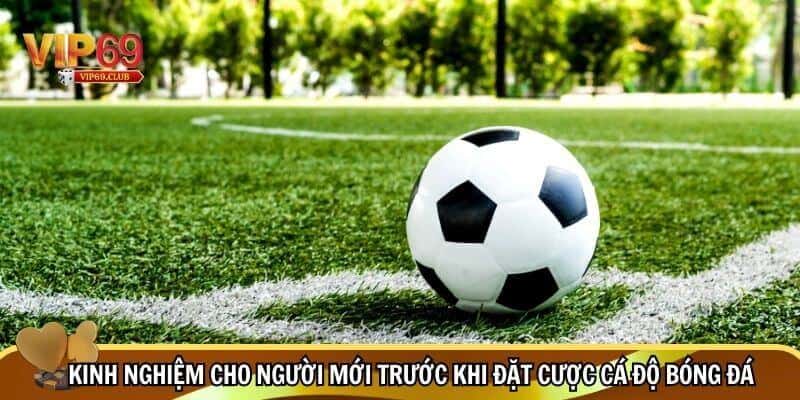 Kinh Nghiệm Cá Cược Bóng Đá Cho Người Mới - Bí Quyết Tránh Thua, Dễ Thắng 2 Tầm quan trọng của kinh nghiệm cá cược bóng đá cho người mới